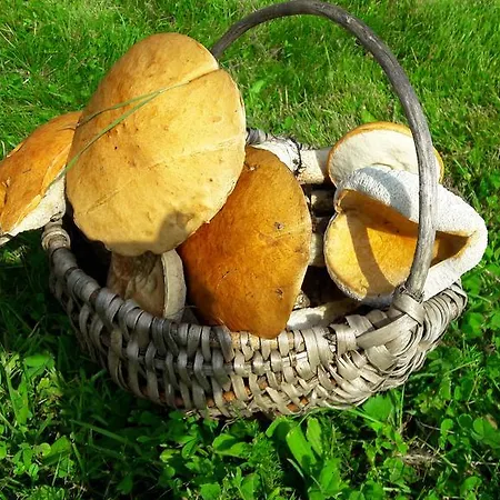 Ranczo Blisko Gdanska Casa rural Buszkowy